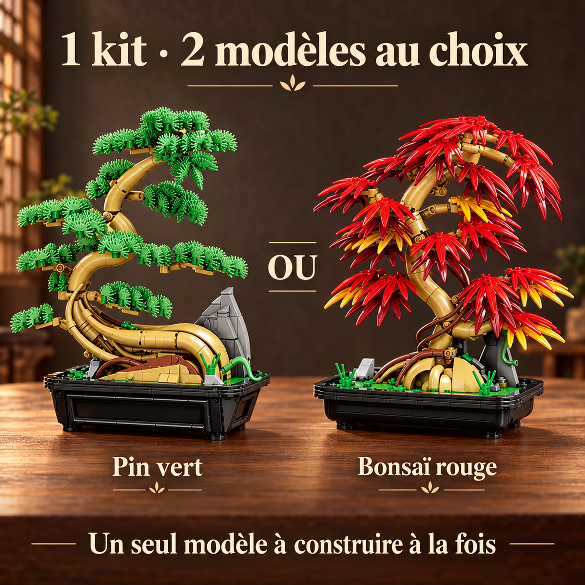 Bonsaï japonais – Éclat d’automne
