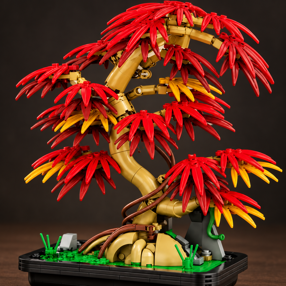 Bonsaï japonais – Éclat d’automne