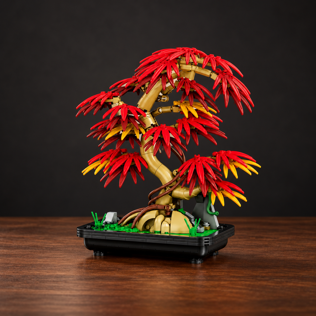 Bonsaï japonais – Éclat d’automne